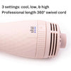 VolumeBrush 2-in-1 Hot Air Brush